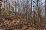 Lot 5, 34.53 Acres Lick Creek - Photo 8