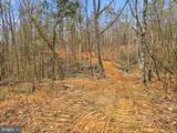 709 Stultz Gap Road - Photo 6