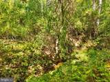 Vacant Land Cabin Branch Road - Photo 25