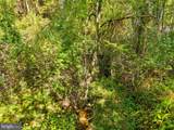 Vacant Land Cabin Branch Road - Photo 26