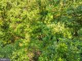 Vacant Land Cabin Branch Road - Photo 27