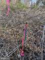  Riverdale Road - Photo 5