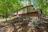 49 Forest Drive - Photo 83