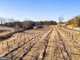 4500 Winery Lane - Photo 10