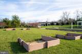 38555 Goldfinch Lane - Photo 79