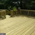 8602 Burnt Hickory Circle - Photo 40