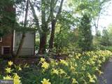 4600 Connecticut Avenue - Photo 36