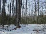 TBD Lot 56G Turkey Ridge Rd - Photo 2