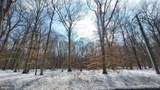 266 White Marsh Road - Photo 5