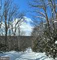 Lot 36 Fox Tail Rd - Photo 14