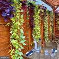 110 Orange Street - Photo 55