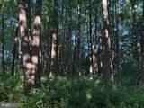 0 Rock Springs Road - Photo 10
