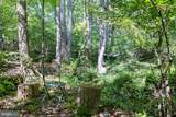 887 Hickory Creek Road - Photo 40