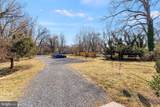 214 Royal Avenue - Photo 51