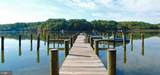 2568 Forest Knoll - Photo 54