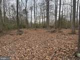 13220 Blackwood Forest Drive - Photo 15