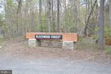 13220 Blackwood Forest Drive - Photo 6