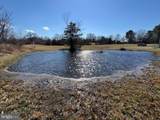 215 Forrest Drive - Photo 94