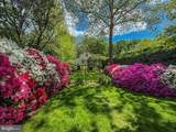 105 Linden Avenue - Photo 41
