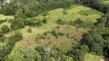24333 Narrow Gauge Road - Photo 56