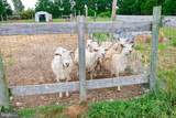 22408 Hog Creek Road - Photo 45