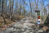 4562 Quail Run Drive - Photo 59