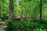 4645 Morgans Bluff Drive - Photo 46