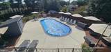 904 Geneva Avenue - Photo 28