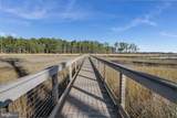 22106 Preservation Drive - Photo 96