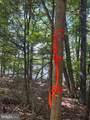  Southwood Dr-Lake Front - Photo 8
