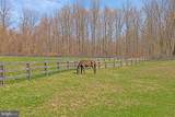 6300 Town Point Road - Photo 117