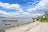 39947 Narrows Road - Photo 59