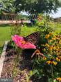 8581 Longboat Way - Photo 84