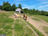 301 Dinkenberger Road - Photo 45