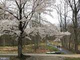 8625 Ordinary Way - Photo 46