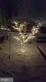 104 Meadow Road - Photo 22