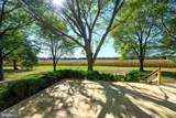 28923 Island Creek Road - Photo 17