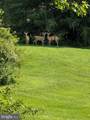 28923 Island Creek Road - Photo 4