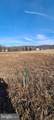 12417 Pleasant Walk Road - Photo 9