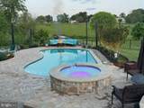 13519 Allnutt Lane - Photo 5