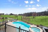 13519 Allnutt Lane - Photo 59