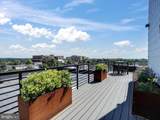 41 Lemon Street - Photo 33
