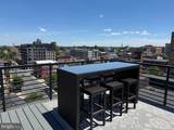 41 Lemon Street - Photo 37