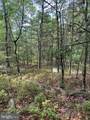 6 ac Mountain Acres Loop - Photo 11