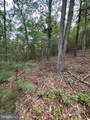6 ac Mountain Acres Loop - Photo 13