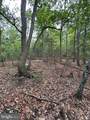 6 ac Mountain Acres Loop - Photo 15