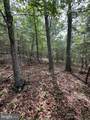 6 ac Mountain Acres Loop - Photo 16