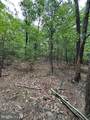 6 ac Mountain Acres Loop - Photo 18