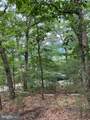 6 ac Mountain Acres Loop - Photo 4