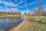 9107 Grasty Gold Mine Road - Photo 57